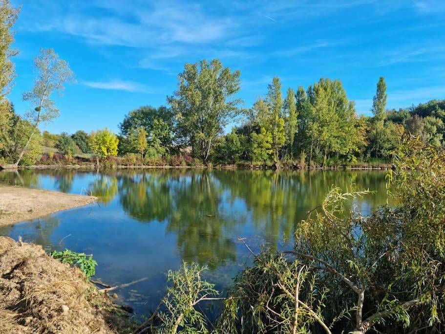 Appartement entier, Maison grande piscine près Montauban 82 Quercy in La Salvetat-Belmontet, Tarn-et-Garonne