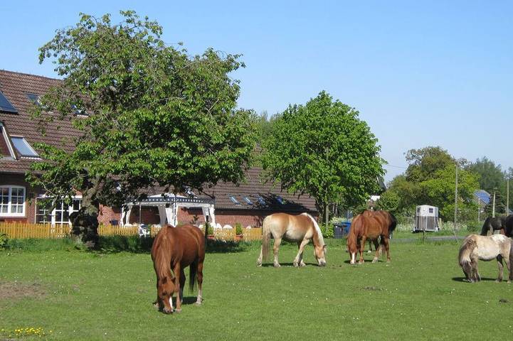 Ferienwohnung für 4 Personen, mit Garten in Holtgast