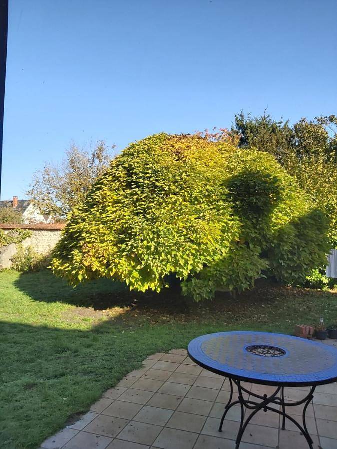 Location de vacances pour 4 personnes, avec Balcon et Jacuzzi ainsi que Terrasse et Jardin à Boiscommun - 4