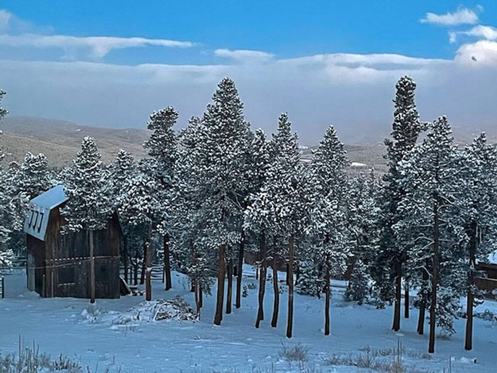Mountain Cabin Beautiful Views, near Nederland, Eldora Mt & Black Hawk, Colorado in Gilpin County