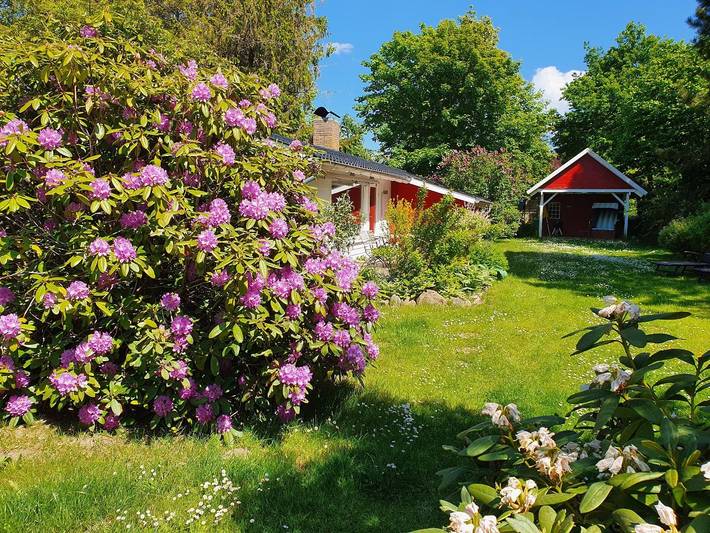 Ferienhaus für 4 Personen, mit Terrasse und Garten in Brodersby an der Schlei