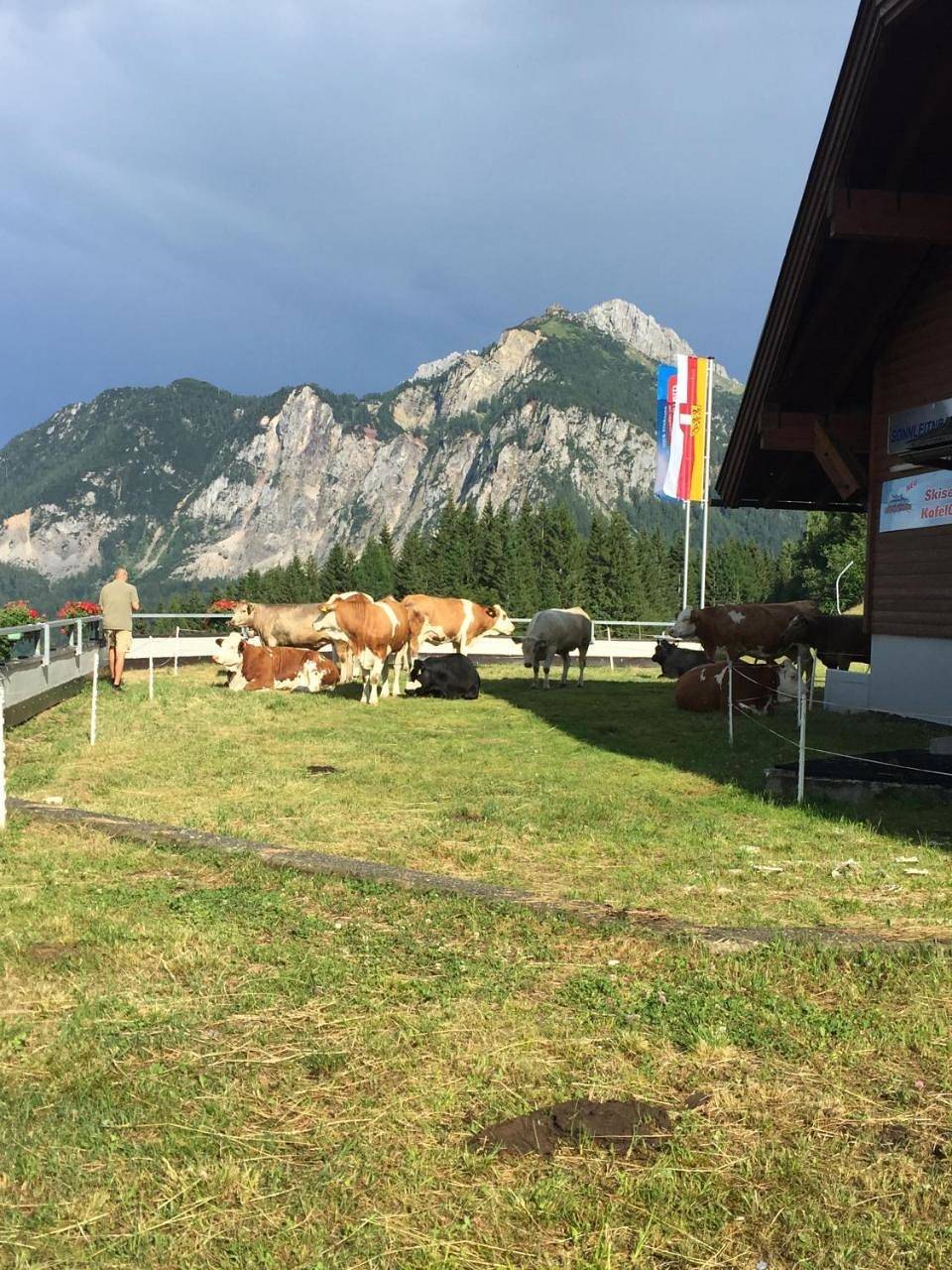 Ganze Wohnung, Schiappartement Nassfeld in Sonnenalpe Naßfeld, Hermagor-Pressegger See