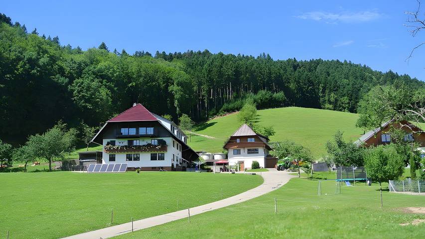 Ferienwohnung für 4 Personen, mit Terrasse, kinderfreundlich in Hausach