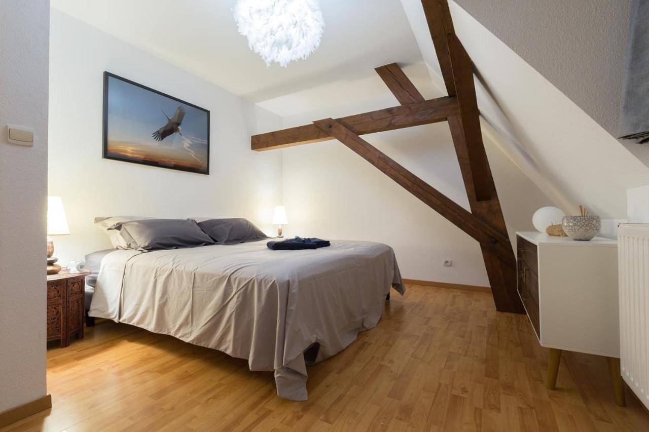 Appartement entier, Three-Bedroom Apartment in Kaysersberg-Vignoble, Parc naturel régional des Ballons des Vosges