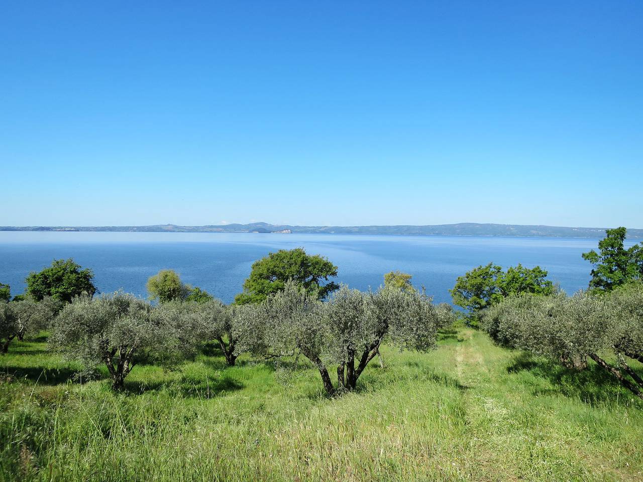 Podere Sant' Antonio, foto 10