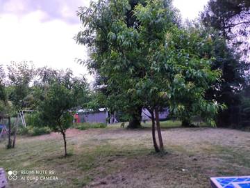 Maison d’hôte pour 4 personnes, avec vue et jardin dans le Lot-et-Garonne