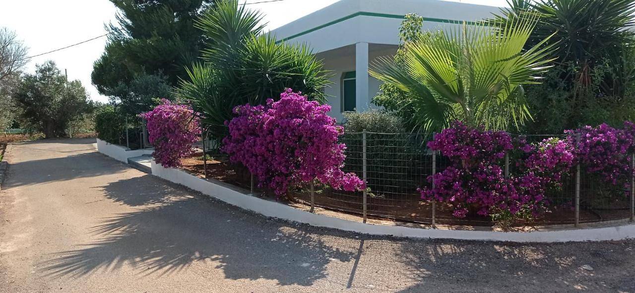 L'Oasi in Alliste, Golfo di Taranto