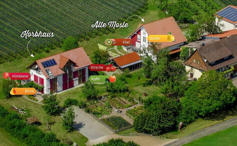 Ferienwohnung für 4 Personen, mit Balkon/Terrasse und Terrasse sowie Garten in Überlingen