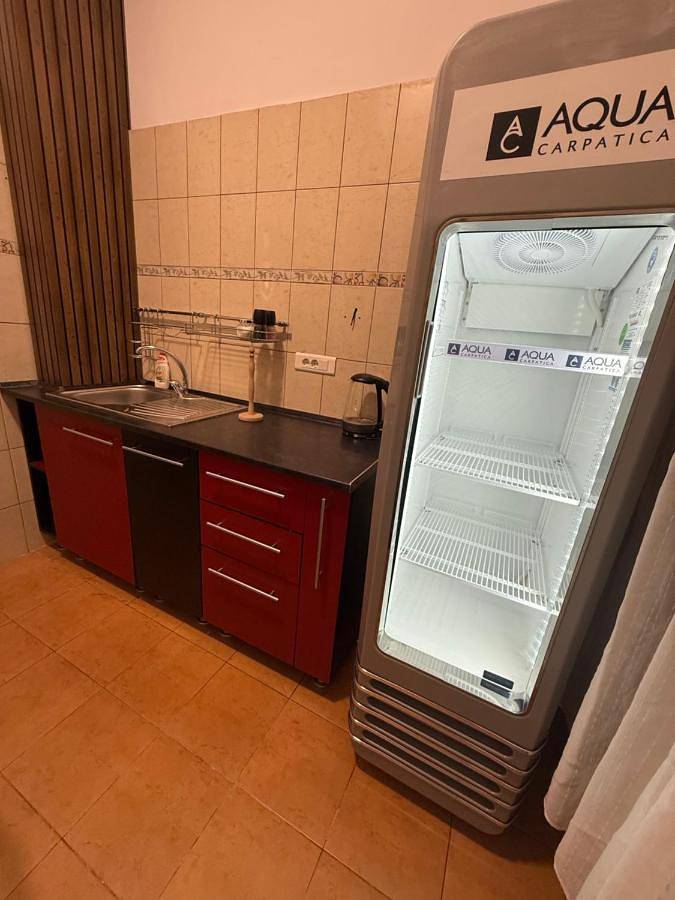 Chambre d’hôte pour 2 personnes, avec terrasse ainsi que jardin et vue à Bucarest - 3