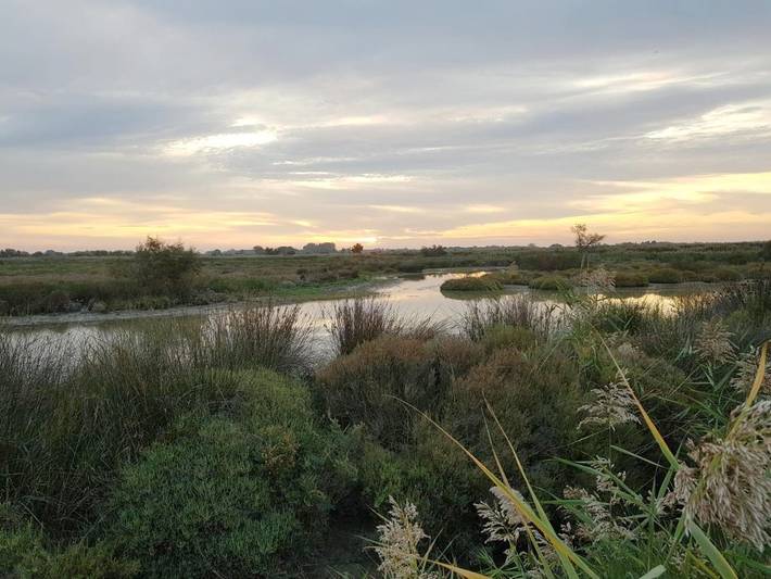 Hôtel pour 2 personnes, avec jardin dans Le Sambuc - 2