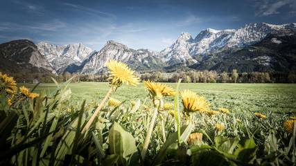 Ferienwohnung für 5 Personen in Admont, Gesäuse, Bild 1