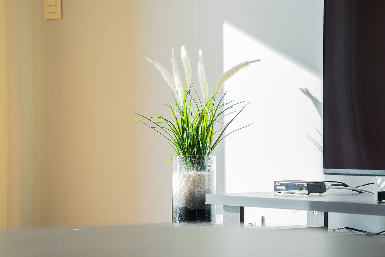 Ganze Wohnung, Anchored in Carmo by Homie in Câmara de Lobos, Madeira