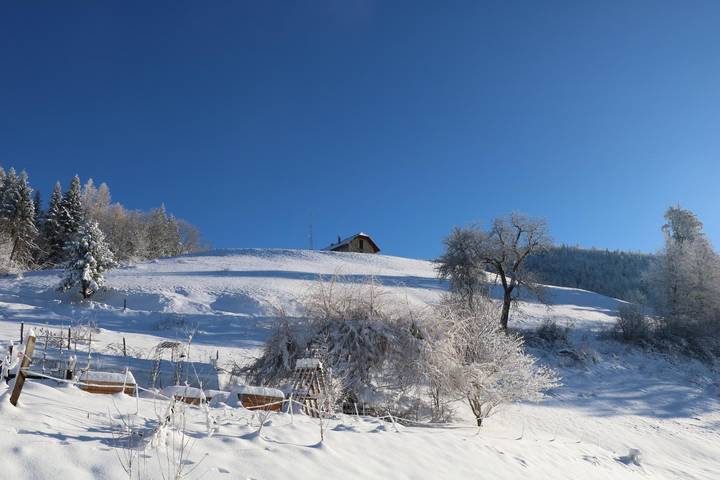 Gîte pour 8 personnes, avec terrasse à Le Châtelard - 4