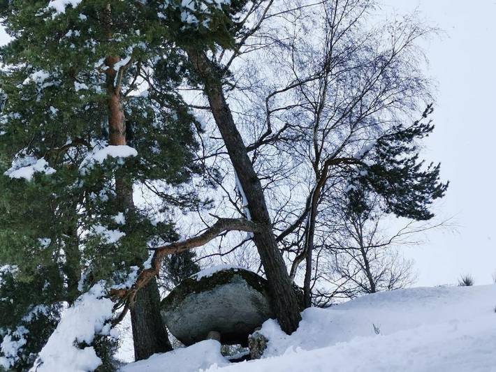 Location de vacances pour 15 personnes, avec terrasse et jardin dans Neuvéglise-sur-Truyère - 3