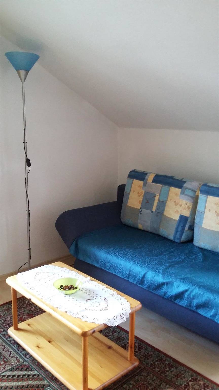 Ganze Ferienwohnung, Ferienwohnung I, Wohn-Schlafzimmer, Dusche/Wc in Nesselwang, Bayerisch Schwaben