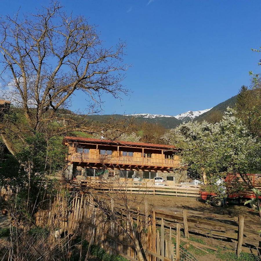 Ganze Wohnung, Neue Ferienwohnungen auf dem Gebreitnerhof, Urlaub auf dem Bauernhof in Karnol, Brixen