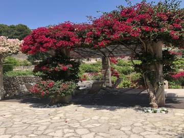 Villa in Port de Sóller, Sóller für 12 