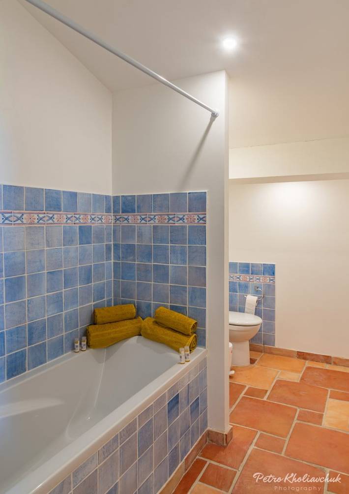 Chambre d’hôte pour 2 personnes, avec sauna et jacuzzi ainsi que piscine et jardin au Parc naturel régional des Alpilles - 4