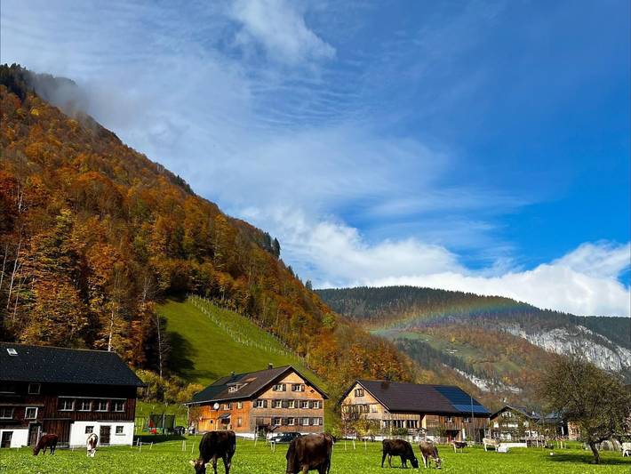 Ganze Ferienwohnung, Haus Dekker - Appartement für 4-6 Personen in Bregenzerwald (Vorarlberg), Mellau