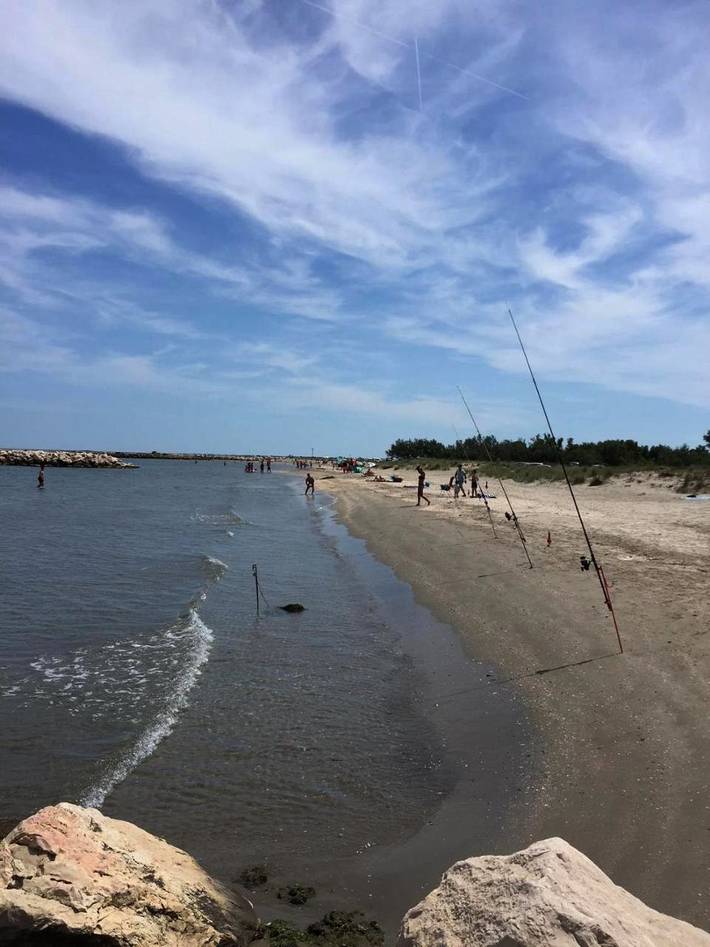 Gîte pour 4 personnes, avec vue et jardin, adapté aux familles à Port-Saint-Louis-du-Rhône - 2