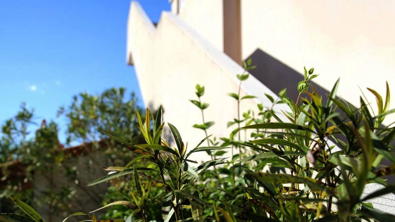 Appartement entier, One-Bedroom Apartment in Allègre-les-Fumades, Région d'Alès