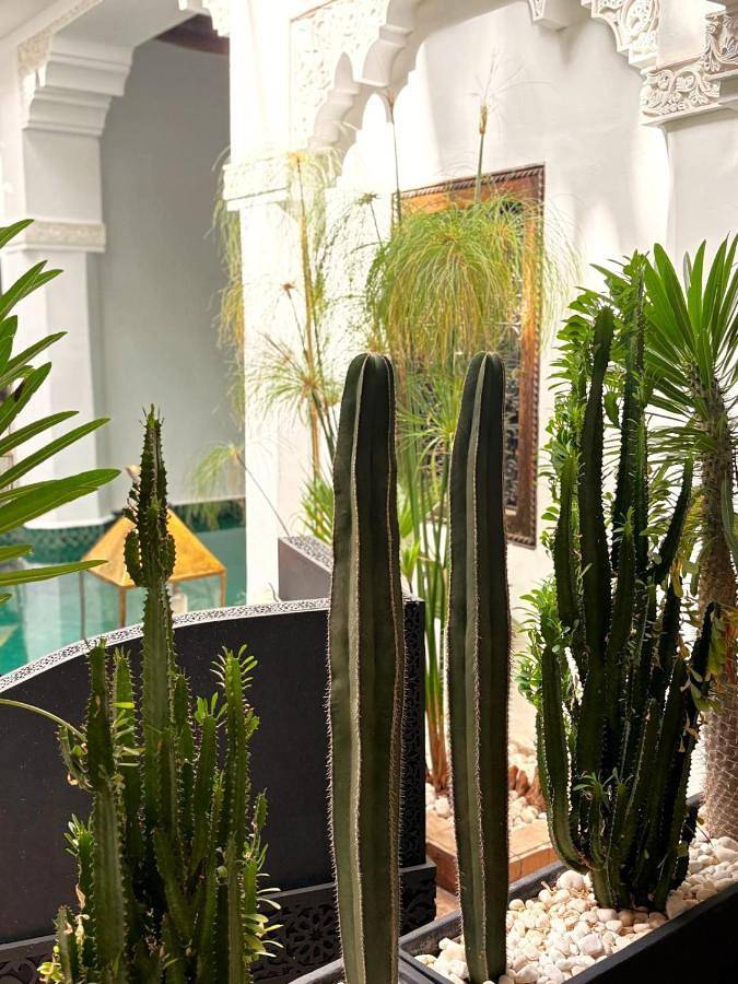 Chambre d’hôte pour 16 personnes, avec piscine ainsi que terrasse et vue à Marrakech - 3