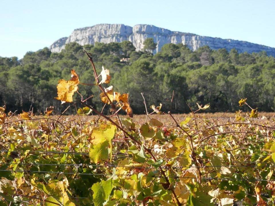 Appartement de vacances entier, Séjour Pic Saint Loup in Saint-Mathieu-de-Tréviers, Côte méditerranéenne (France)