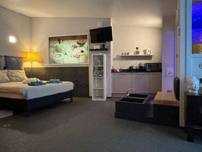 Location de vacances pour 2 personnes, avec jardin ainsi que sauna et vue à Plombières - 3