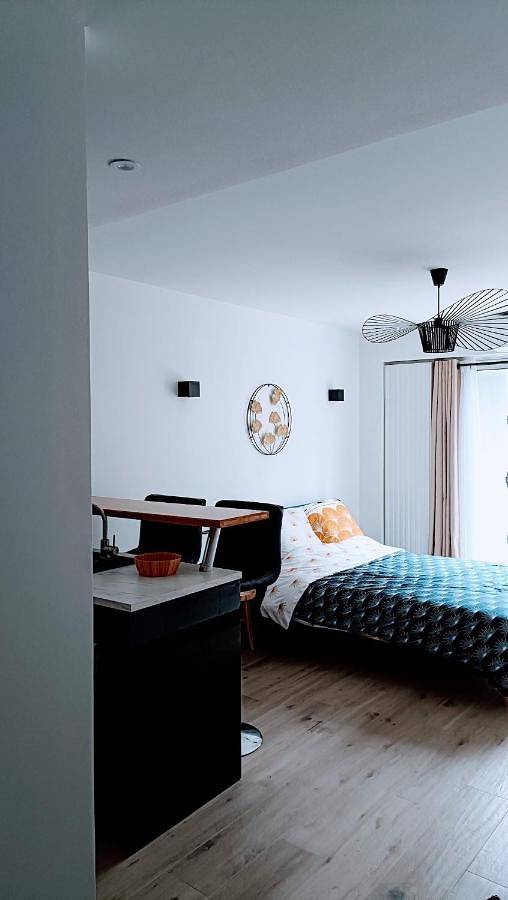 Gîte pour 2 personnes, avec jardin ainsi que jacuzzi et terrasse à Nogent-sur-Marne - 4