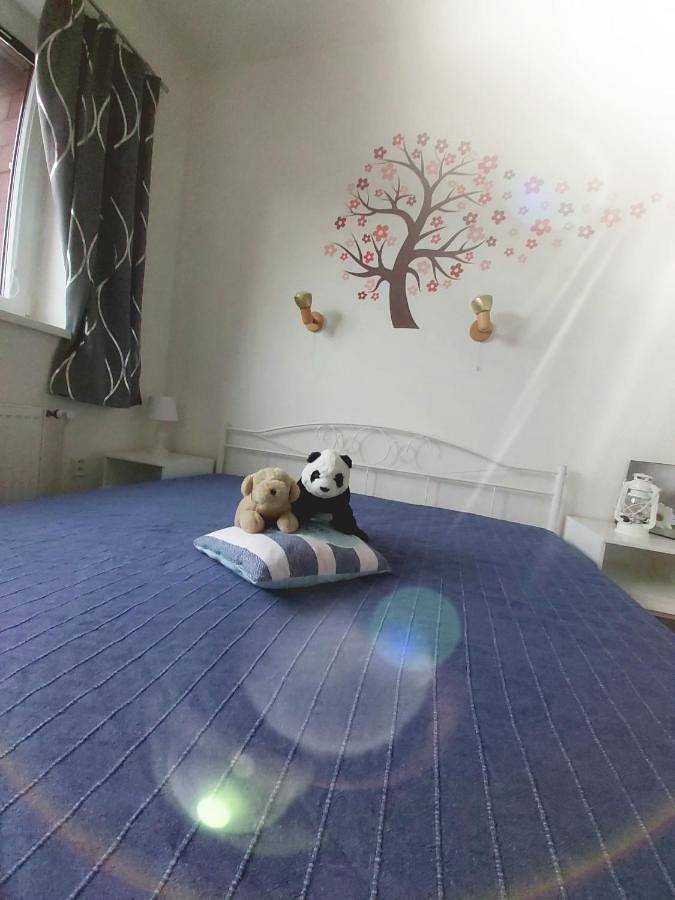 Appartement entier, Apartmán Tony Slapy in Slapy, Prague Ouest