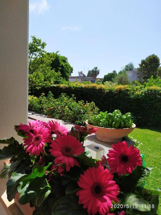 Casa de la Luna in Nettuno, Provincia di Roma