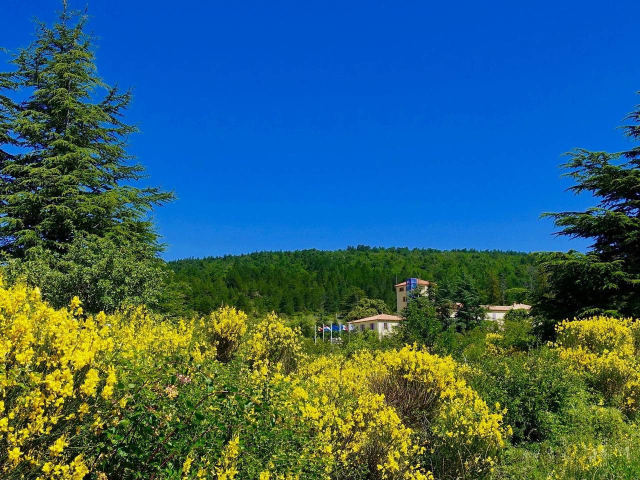 Ganze Wohnung, Genießen Sie die Ruhe und den Frieden der Provence in Ferrassières, Nyons und Umgebung