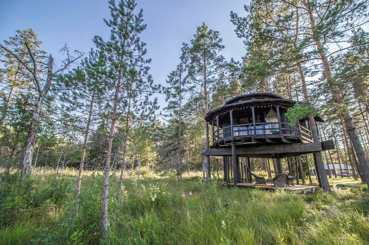 Sambliku Treehouse in Harjumaa