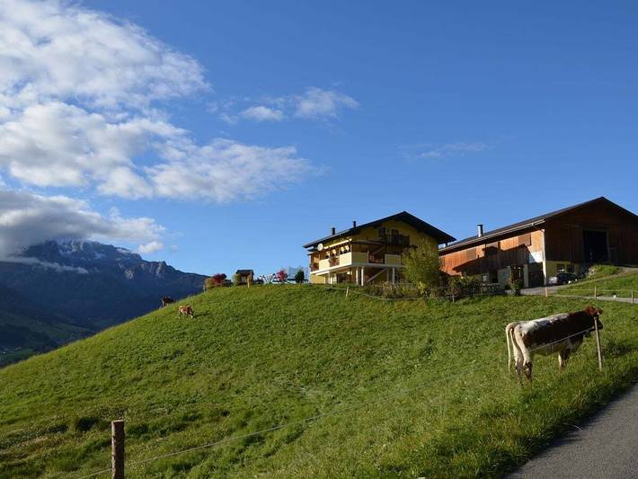 Ferienhaus für 3 Personen, mit Balkon und Garten in Bischofshofen - 3