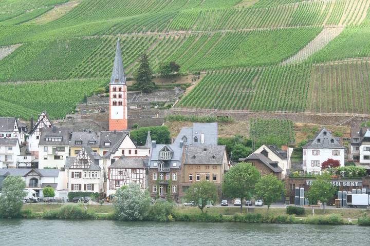 Ferienwohnung für 2 Personen, mit Balkon und Terrasse in Zell (Mosel) - 4