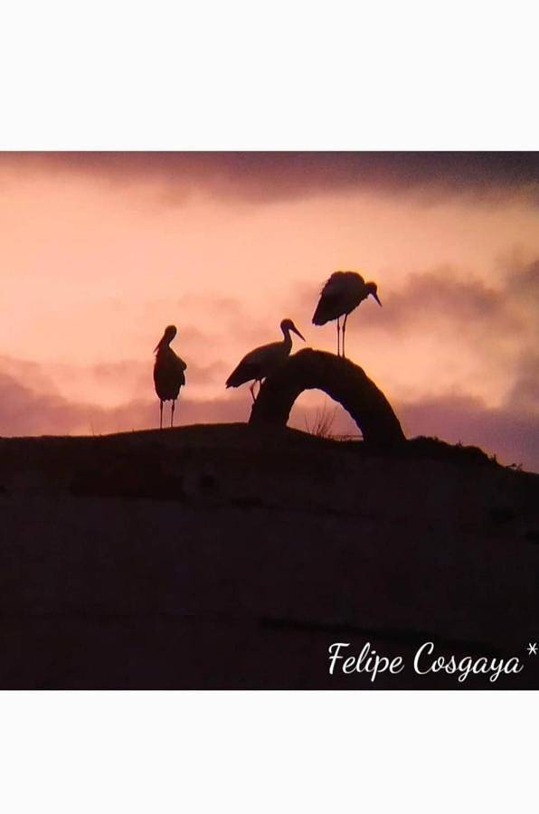 Casa de vacaciones para 9 personas, con terraza además de vistas y piscina, Familias con niños en Provincia de Badajoz - 4