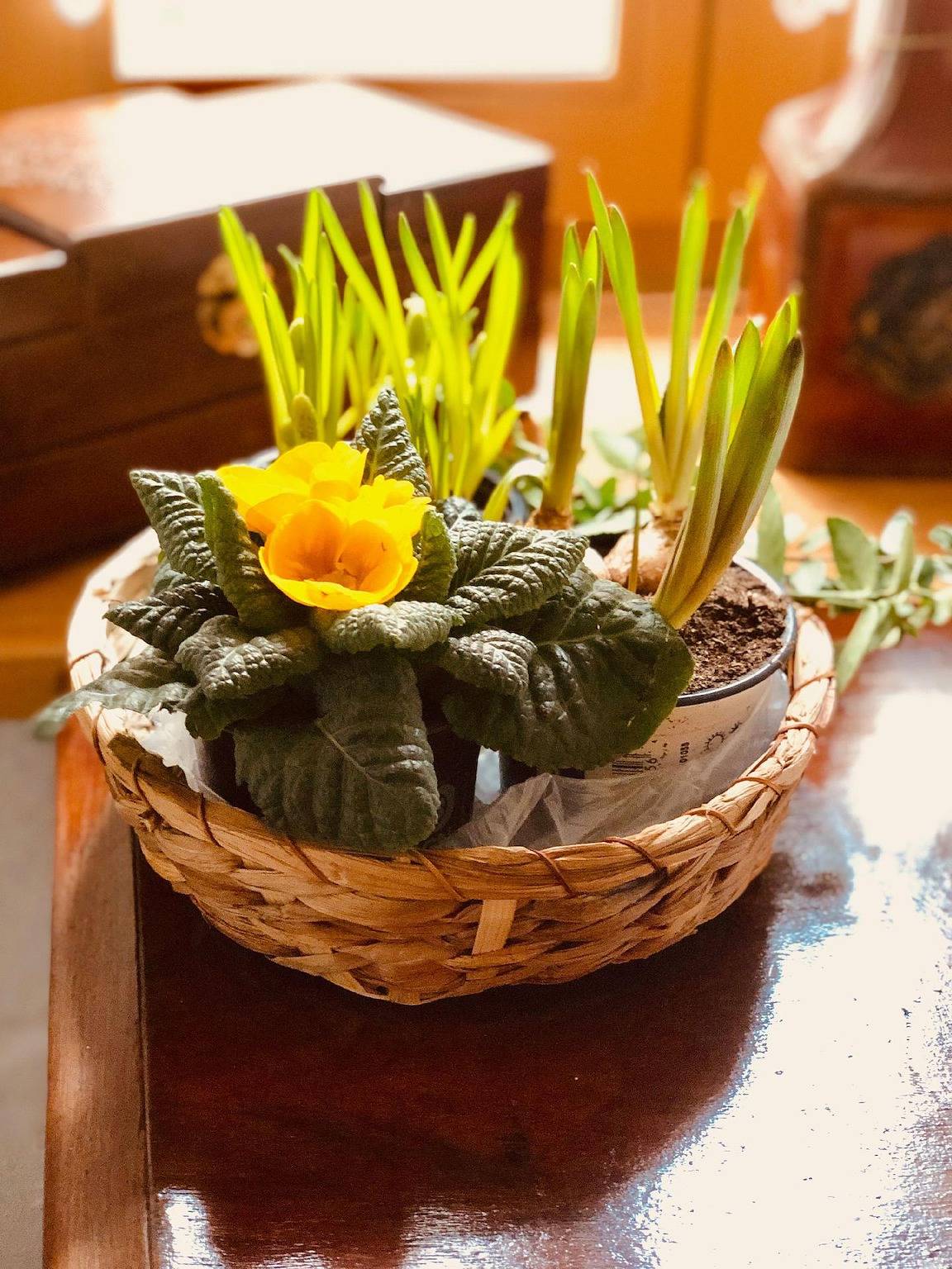 Neiße-Gästezimmer im Altstadthaus in Görlitz, Oberlausitz Niederschlesien