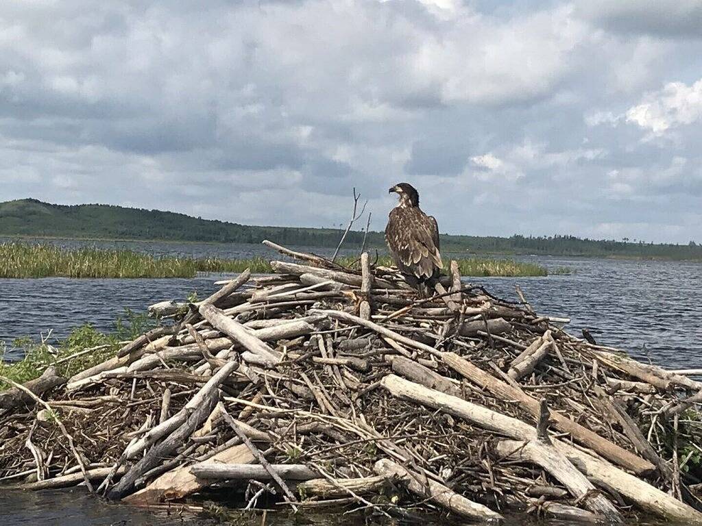 Cabin Rentals And Lodges for 6 Guests in Saskatchewan, Canada