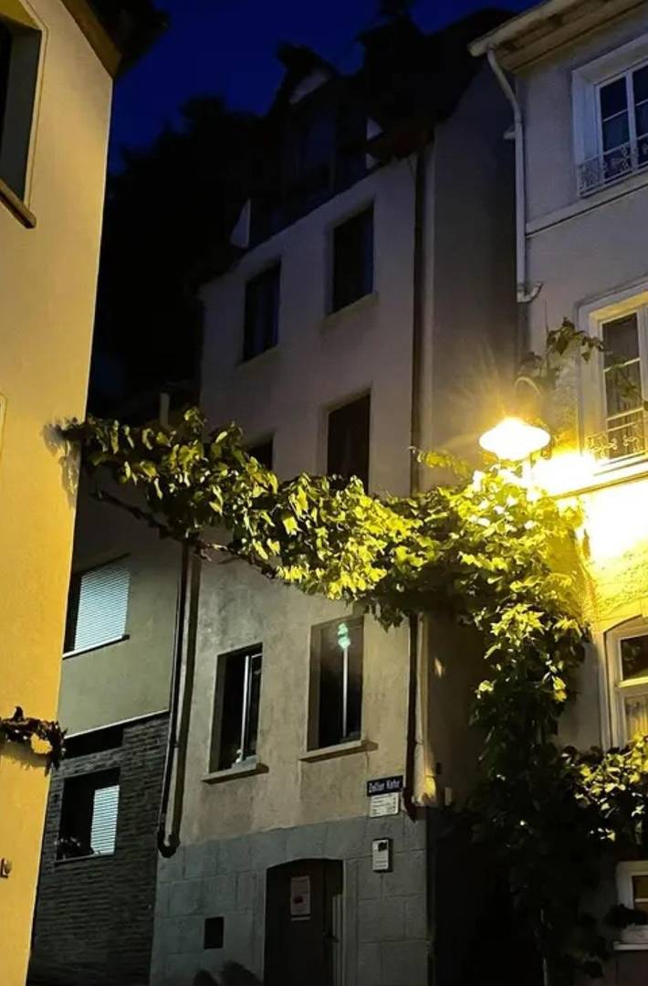 Ferienwohnung für 4 Personen, mit Terrasse und Garten, mit Haustier in Zell Stadt (Mosel) - 2