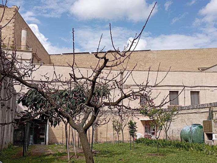 Gîte pour 2 personnes, avec jardin et vue, animaux acceptés à Ugento - 4
