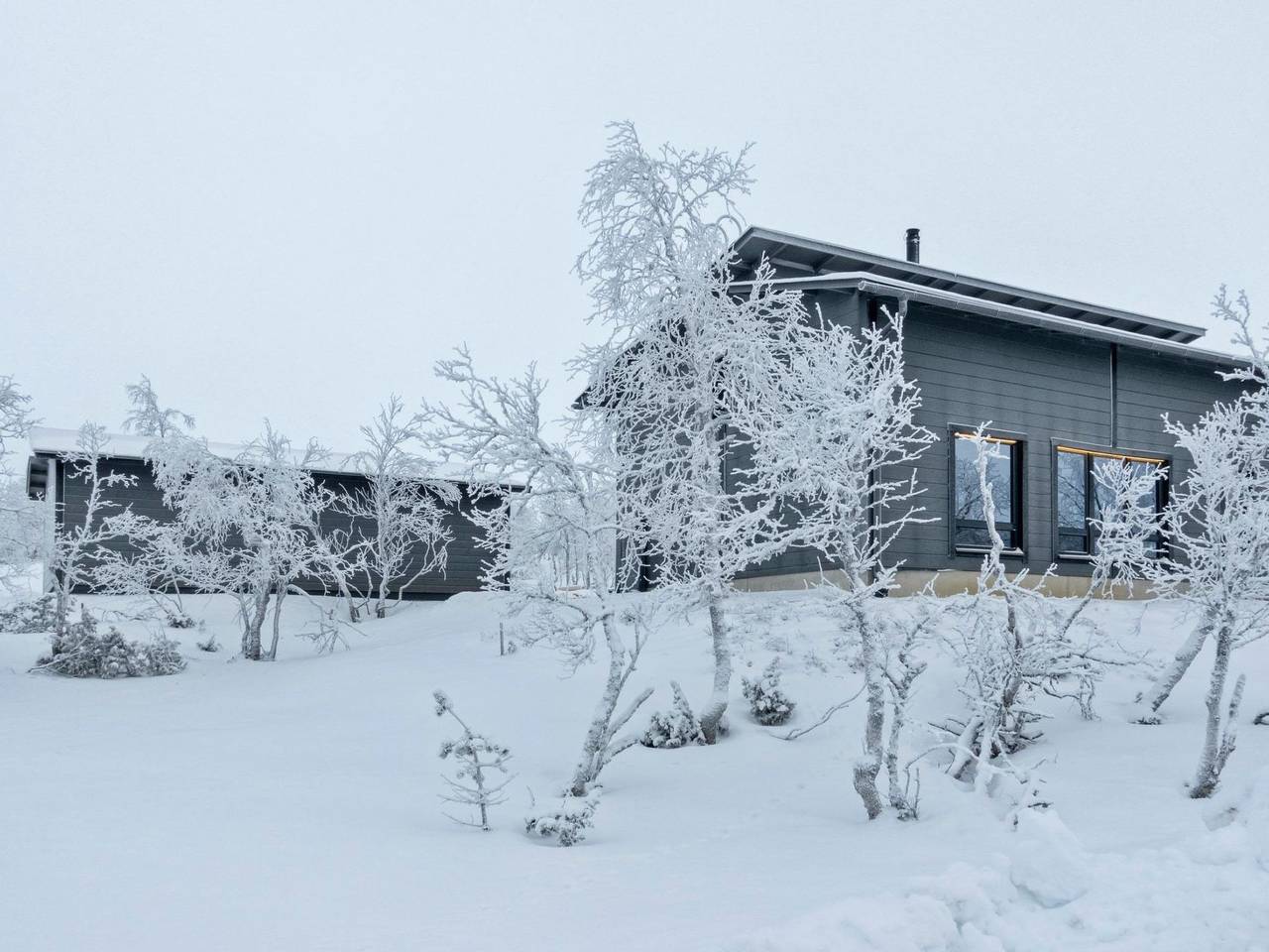 Villa viima in Lapland
