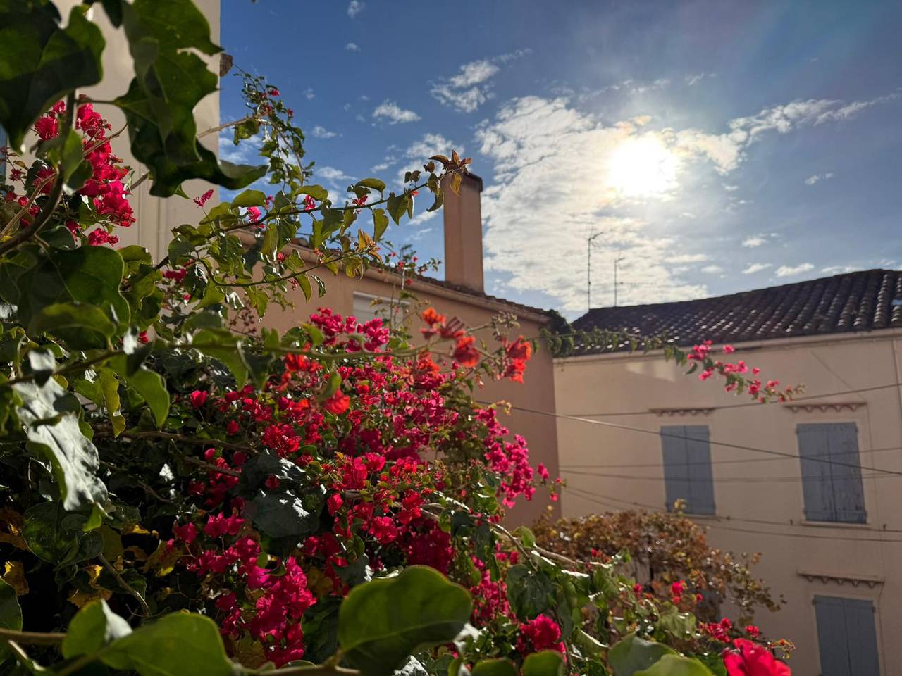 Ganze Wohnung, Banyuls-Sur-Mer, T3 Wohnung, nah am Strand und Geschäften in La Côte Vermeille, Banyuls-sur-Mer