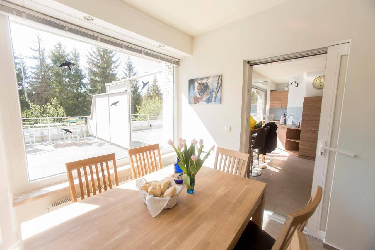 Ganze Wohnung, Himmelsterrassen mit Schwimmbad, W Lan und Sauna in Hohegeiß, Harzvorland