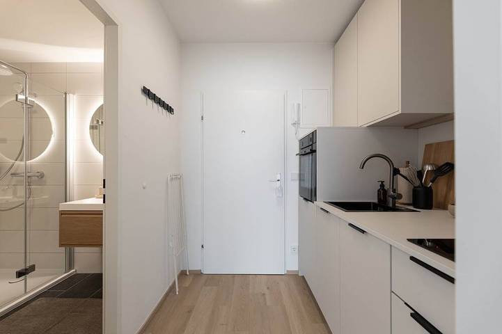 Ganze Wohnung, Top 3 Stilvolles Wohnstudio in attraktiver Thermenregion in Bad Schallerbach, Bezirk Grieskirchen