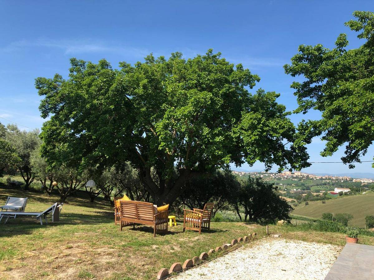 Agriturismo - Apis in tabula in Ostra, Ancona Provinz