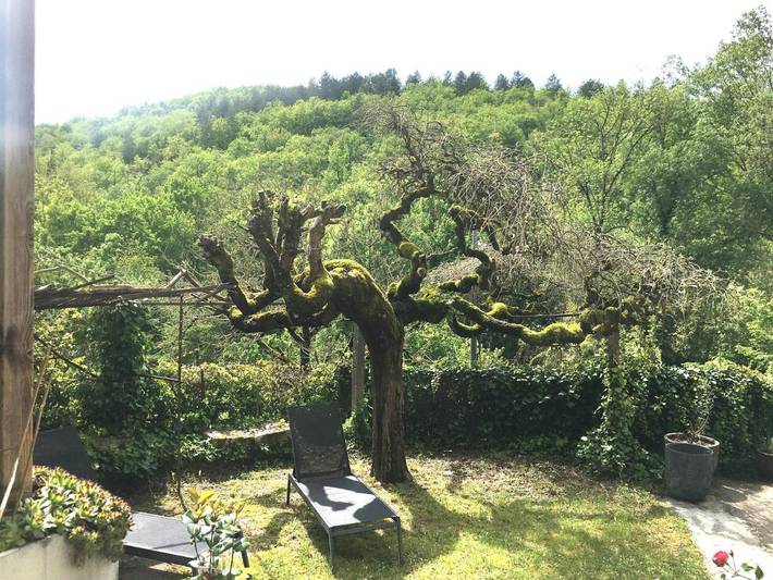 Chambre d’hôte pour 5 personnes, avec vue et piscine ainsi que jardin et terrasse dans le Lot - 3