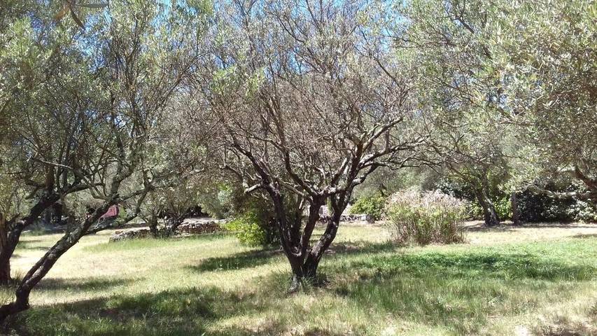 Chambre d’hôte pour 3 personnes, avec jardin et piscine, adapté aux familles à Lorgues - 2