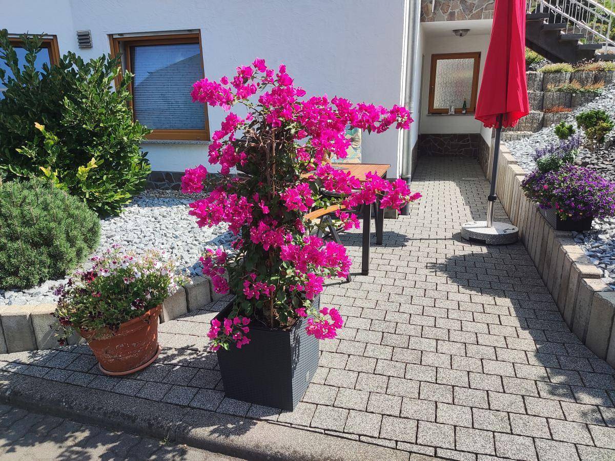 Appartement de vacances entier, Ferienwohnung Moselzeit in Alken, Osteifel