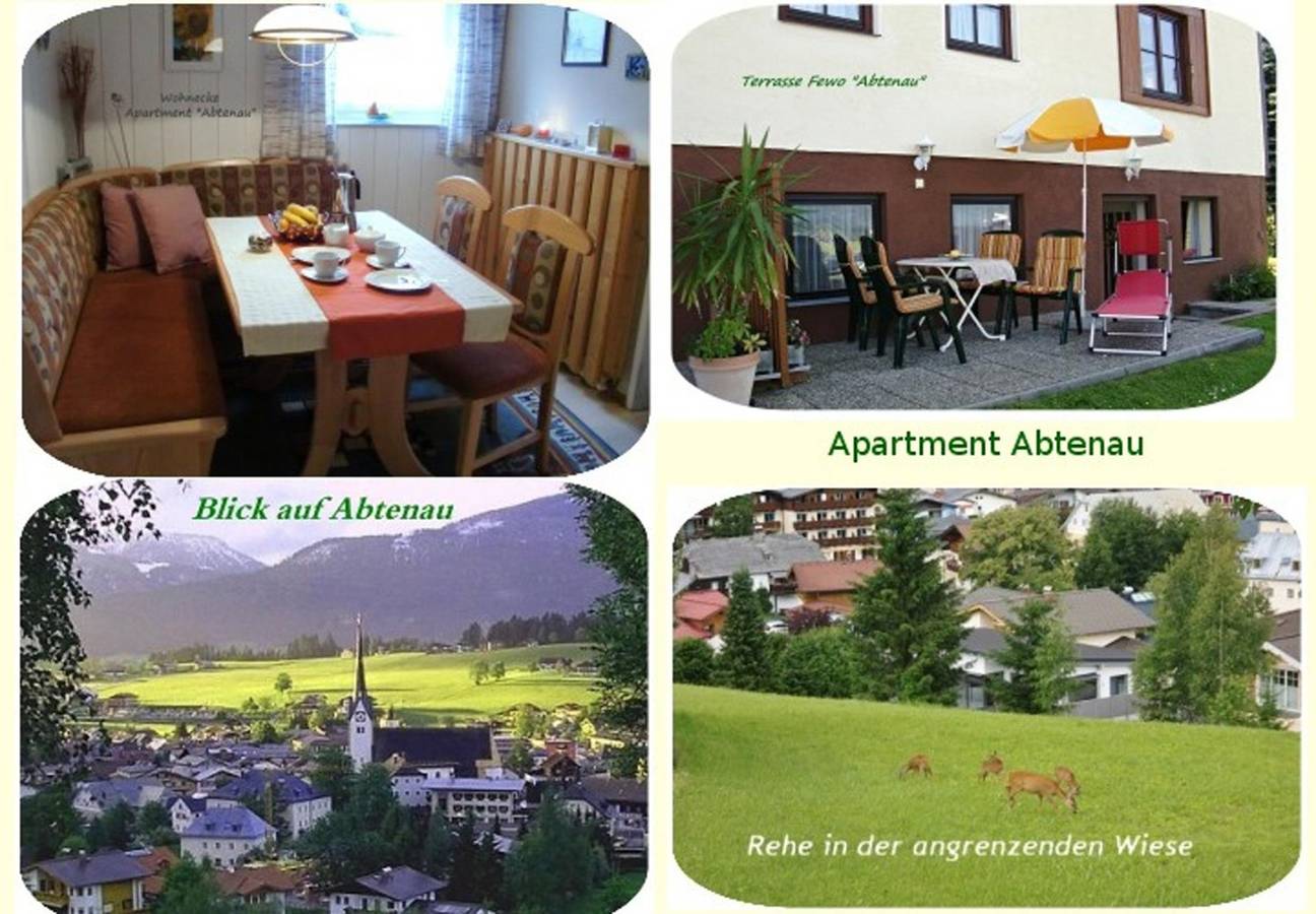 Ganze Ferienwohnung, Apartment "Abtenau"/2 Schlafräume/Dusche, Wc Nr.1 in Abtenau, Tennengau