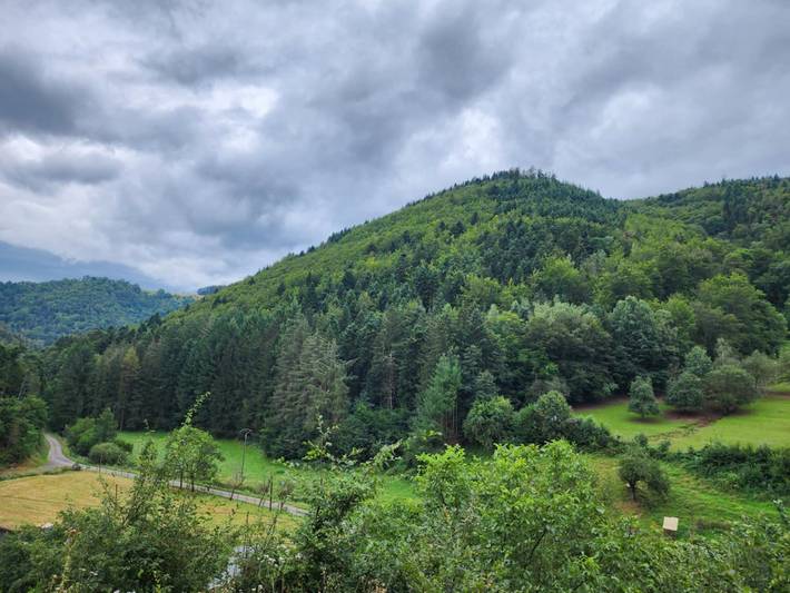 Gîte pour 4 personnes, avec terrasse et jardin à Rombach-le-Franc - 3
